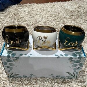 Set of 3 “Best Boss Ever” succulent pots